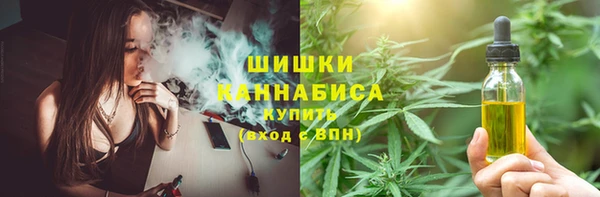 шишки Арсеньев