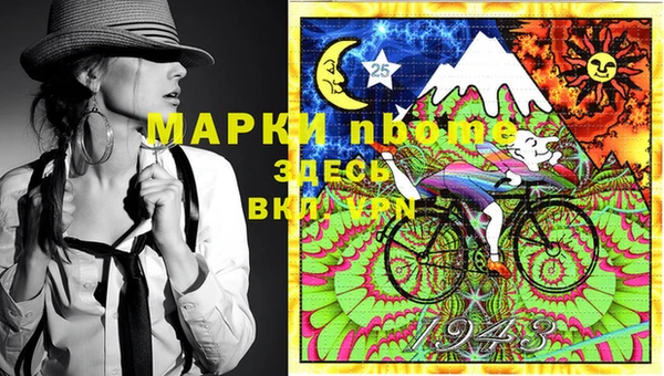 шишки Арсеньев