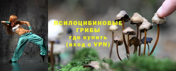 шишки Арсеньев