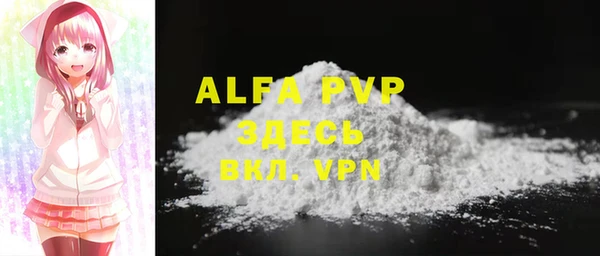 шишки Арсеньев