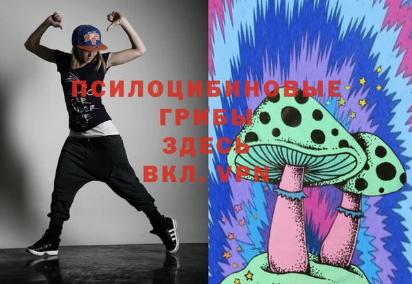 стаф Сясьстрой