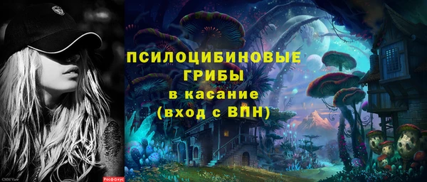 шишки Арсеньев