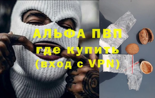 шишки Арсеньев