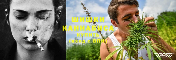 шишки Арсеньев