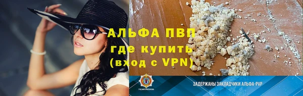 шишки Арсеньев