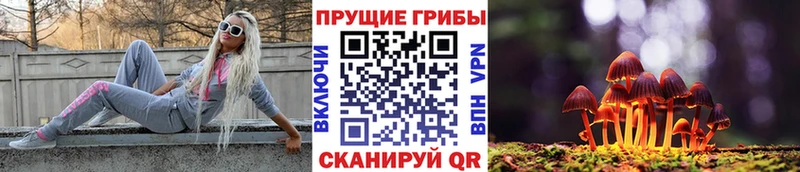 Купить где  Новопавловск  Галлюциногенные грибы Magic Shrooms 